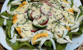 One boiled egg and the white of the second egg are cut into neat slices, and this cutting is laid out around the vegetable pyramid. Then the salad is evenly poured with the prepared dressing and decorated with chopped dill.