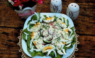 French-style radish, cucumber and egg salad is served immediately to the table. Bon appetit!