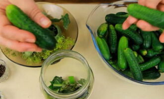 How to prepare sweet pickled cucumbers for the winter in a 1 liter jar? Soak the crispy cucumbers selected for preparation for 5 hours in cold water in advance. Then rinse the cucumbers and prepared greens thoroughly. Rinse liter jars with soda. In each jar put an umbrella of dill, currant leaves, cherries and horseradish. Add garlic cloves and black peppercorns. Place the cucumbers compactly in jars.