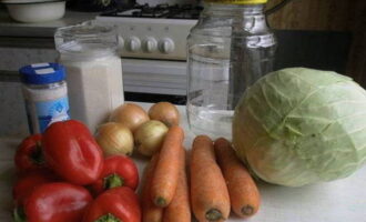 Cabbage salad for the winter is prepared quickly and easily. Immediately prepare, according to the recipe, all vegetables, spices and clean dry jars.