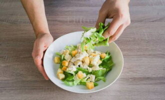 La oss begynne å sette sammen salaten. Legg halvparten av salatbladene på bunnen, hell over den tilberedte sausen, og tilsett halvparten av kyllingfileten og krutongene. Topp med dressing. Gjenta lag igjen og tilsett osteterninger.