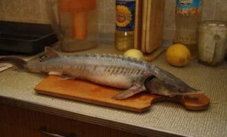 El esterlina al horno en el horno es muy fácil de preparar. En primer lugar, reúne todos los ingredientes para un pescado elegante. Recorte las aletas grandes de la carcasa del esterlina. Quitar las branquias, abrir el abdomen y sacar las entrañas. Si lo deseas, puedes quitar la cabeza por completo. Enjuague la carcasa con agua corriente.