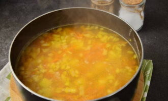 Transfer the roasted vegetables into the soup. Salt and sprinkle with spices to taste. Cook for another 10-15 minutes until done.