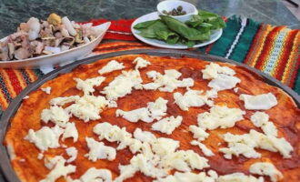 Divide the mozzarella into small pieces. We spread them over the entire surface of the base.