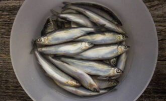 Vendace is often taken fresh, but sometimes it is also used frozen. Cover the fish with water and let it thaw.