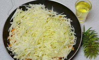 Place finely shredded cabbage in a frying pan.