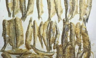 Place the breaded capelin on greased parchment and carefully place in an oven preheated to 190 degrees. Bake for about 20 minutes until golden brown.