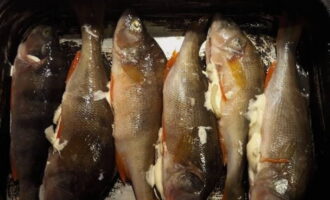 Disposez les préparations de poisson sur une plaque à pâtisserie.