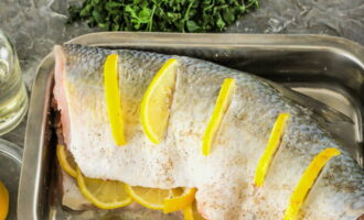 Rub the asp carcass with salt and ground pepper inside and out. Make several not too deep cuts on the side and insert a slice of lemon into each. Place the remaining lemon inside the carcass. Grease the mold with vegetable oil and place the workpiece in it.