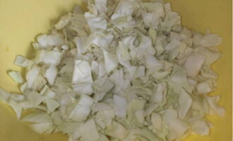 Cut the cabbage and peeled onion into small squares.