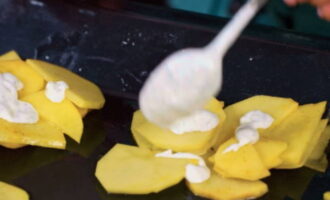 Coat the potato layer with half of the mayonnaise dressing.