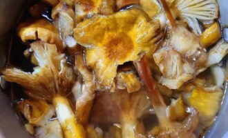 Transfer the mushrooms to a cooking bowl. Fill with water. Add some salt.