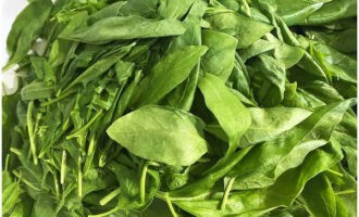 Carefully sort freshly collected spinach leaves, removing dense petioles and small debris. Then rinse them several times in cold water.