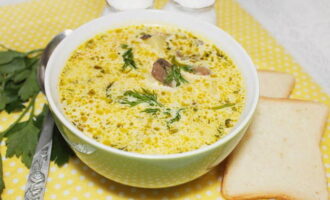 La sopa con queso derretido, pollo y champiñones está lista. ¡Sirva con algunas verduras!