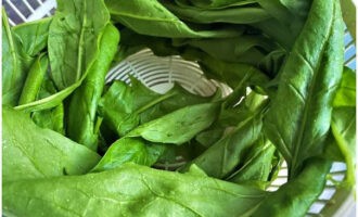 Before freezing, spinach leaves need to be dried. Do this using a special dryer for greens, or simply shake off excess liquid well in a colander.