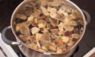 Pour water into a deep saucepan and set to boil. Then unload the prepared porcini mushrooms. Add salt and pepper to taste. Cook for no more than 15-20 minutes.