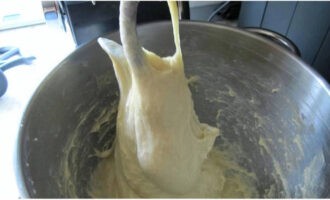 Add egg yolks, whites, melted butter, flour, salt and vanilla sugar to the prepared dough.