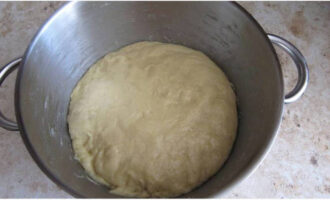 Knead a homogeneous dough. Knead with your hands for at least 15 minutes. At this stage you can stir in candied fruits or raisins if you wish to add them.