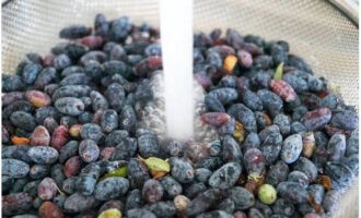 How to prepare honeysuckle pureed with sugar without cooking for the winter? We measure out the required number of berries. We rinse them under water and discard them in a colander.