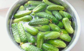 To prepare delicious cucumbers with mustard seeds for the winter, thoroughly wash the vegetables. Transfer to a large container, in this case a basin. Fill with cold water and leave for a couple of hours.