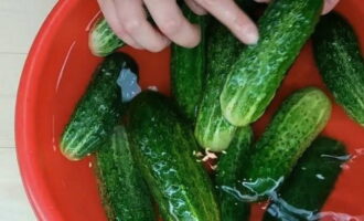 To prepare overgrown cucumbers for the winter, you'll lick your fingers, thoroughly wash the vegetables. Soak in cold water for at least 2 hours.