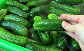 For crispy pickled cucumbers in 3-liter jars for the winter with vinegar, first soak the vegetable in cold water for several hours. Afterwards we wash the product.