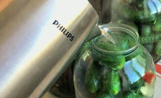 Place the greens and prepared cucumbers in a jar. Pour boiling water over them, cover with a lid and leave for 5 minutes.