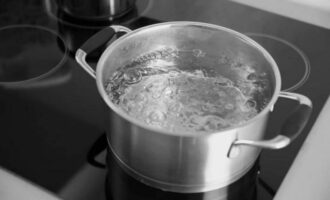 Kochen Sie zwei Gläser Wasser und verdünnen Sie das Salz darin. Die Pilze mit Salzwasser übergießen, Pfefferkörner und getrockneten Dill hinzufügen.Legen Sie ein Gewicht darauf und lassen Sie das Werkstück 3-4 Stunden lang stehen.