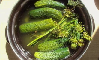 Laat de komkommers een dag op kamertemperatuur staan. Koel na deze tijd de lichtgezouten komkommers snel af in pekel in 1 liter water en serveer. Eet smakelijk!