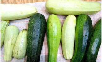 Untuk membekukan zucchini di dalam peti sejuk untuk musim sejuk, anda perlu membilas sayur-sayuran dengan baik dan mengeringkannya dengan tuala.