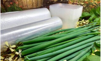 To freeze green onion feathers in the freezer and have a successful harvest, choose fresh onions, preferably straight from the garden. Prepare cling film or foil immediately. Only green feathers or those with white petioles can be frozen.