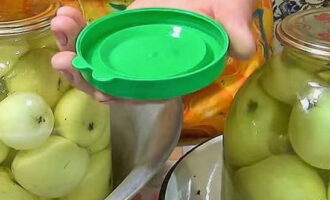 Leave the apples at room temperature. Then close with nylon lids. If necessary, add filling. Store in a cool place. The fruits will be completely ready for consumption in 1-1.5 months.