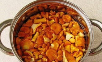 Transfira os chanterelles para uma panela para fazer a sopa. Encha com a quantidade especificada de água.