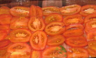 Place the tomatoes and lightly salt them.