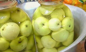 Dæk med låg og læg i et stort bassin, da der under fermenteringsprocessen vil komme vand ud gennem toppen.