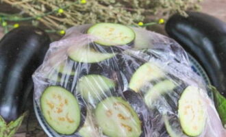 Frozen fresh eggplants for the winter retain their flavor well throughout the year. You can use them to prepare various dishes, not forgetting that the eggplants are already seasoned with salt. Happy preparations!