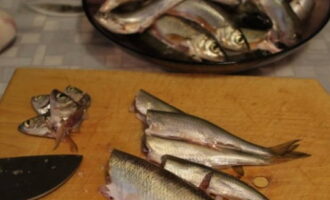 Destripamos y limpiamos el pescado, le cortamos las cabezas.