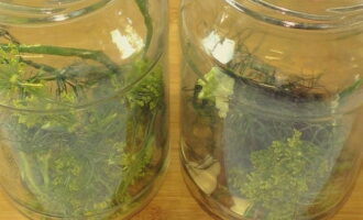 Place dill umbrellas, bay leaves, and pieces of horseradish at the bottom of sterilized jars.