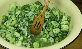 Con una cuchara de madera, mezcle con cuidado las verduras picadas con las especias. Cubrir el plato con una servilleta y dejar marinar los pepinos con la cebolla y el aceite vegetal durante 4 horas a temperatura ambiente. Durante este tiempo, los pepinos darán su jugo y será necesario revolverlos un par de veces.