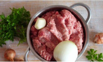 Almôndegas para sopa são muito fáceis de preparar. Preparamos a carne picada, descongelamos, levamos gelada ou moemos a carne no moedor de carne. O produto cárneo semiacabado pode ser qualquer coisa. Descasque a cebola e o alho, lave a salsa.