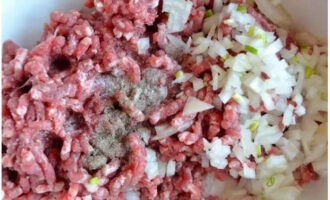 Place minced meat in a separate bowl. Pour salt and spices into it and add finely chopped onion.