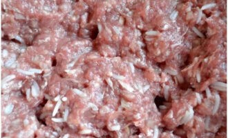 Mix the minced meat with rice by hand until it has a homogeneous texture.