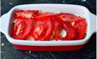 Corte um tomate grande e carnudo em círculos, coloque por cima da abobrinha com a maionese e polvilhe com sal.