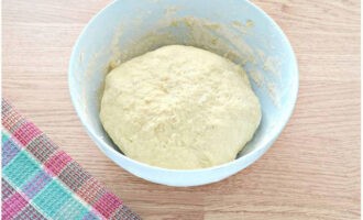 When the flour has absorbed all the liquid, knead the dough with your hands until it has a smooth, uniform texture. A well-kneaded dough should not stick to your palms. Roll the dough into a log, transfer to the same bowl, cover with a napkin and leave in a warm place for at least 1 hour to rise.