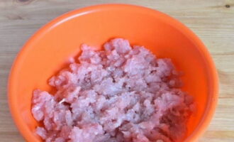 Place the chopped meat in a bowl and add salt to taste. 