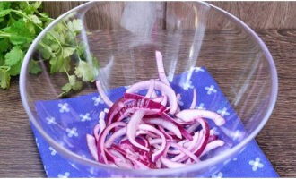 Come preparare un'insalata semplice e gustosa con la carne? Tagliare la cipolla sbucciata a semianelli sottili e versarla in un'insalatiera.