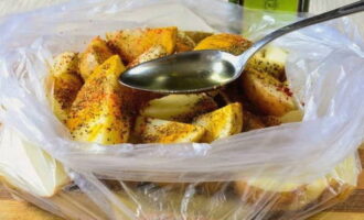 Spray the slices with olive oil and mix thoroughly right in the bag.