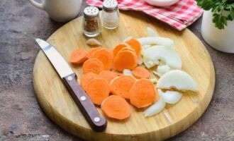 Cut the carrots into circles, cut the onion into half rings.