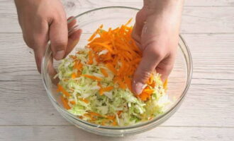 Hachez finement le chou blanc et mélangez-le avec les carottes. Salez légèrement les légumes et mélangez soigneusement avec les mains jusqu'à ce que le jus sorte.