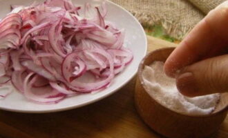 Anschließend die Zwiebel auf einen Teller geben und mit Salz bestreuen.